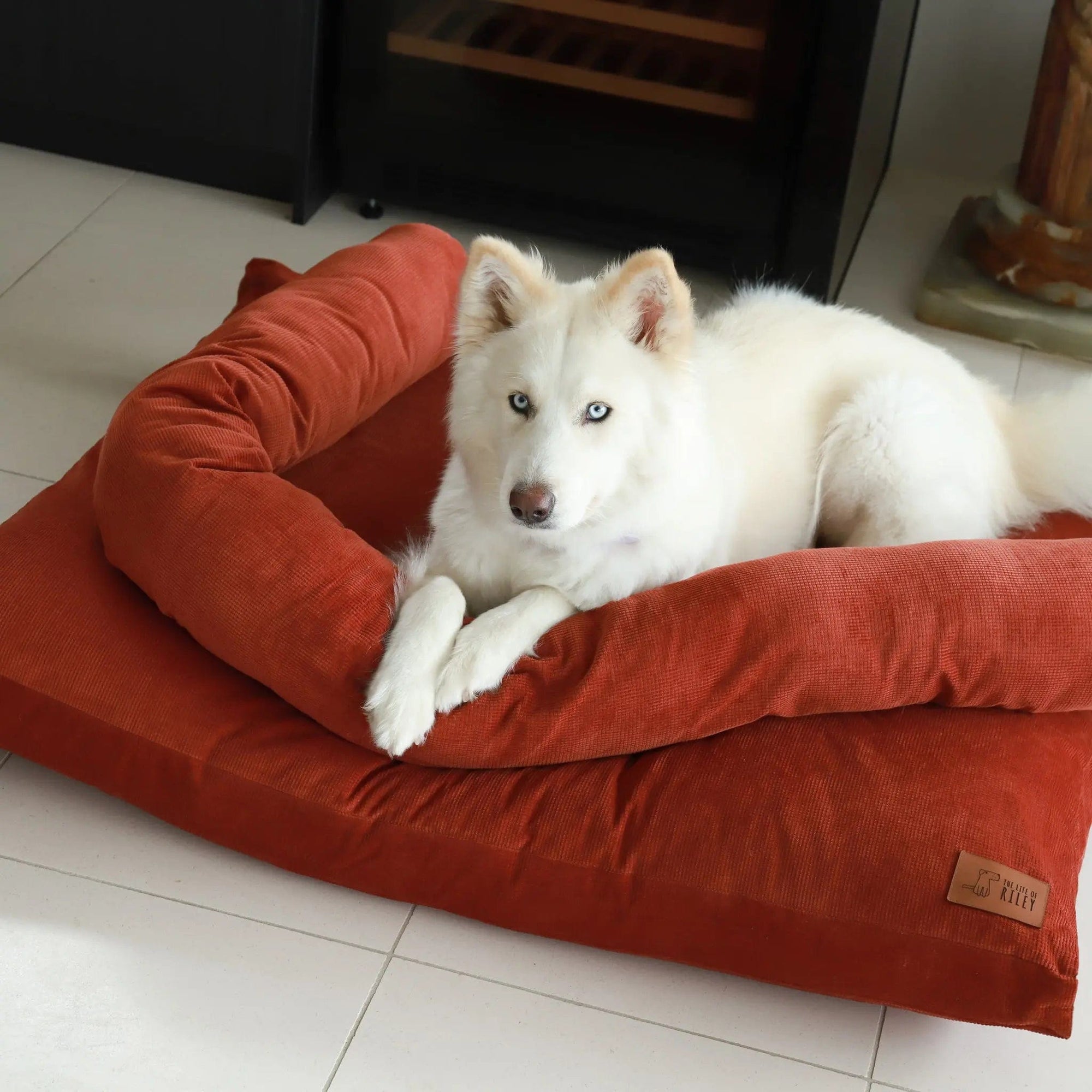 Dog bed shop covers australia